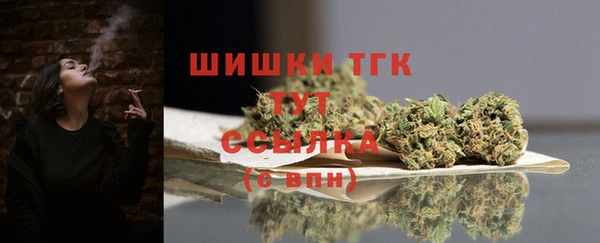винт Бородино