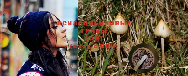 мдпв Бронницы