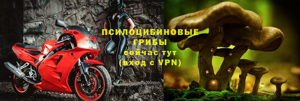 мяу мяу мука Бугульма