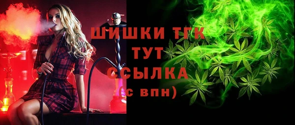 винт Бородино